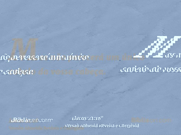 Mas não perecerá um único cabelo da vossa cabeça.