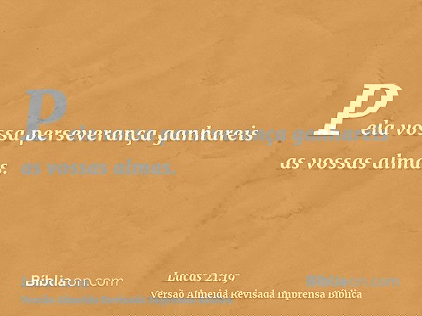 Pela vossa perseverança ganhareis as vossas almas.