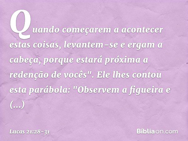 Quando começarem a acontecer estas coisas, levantem-se e ergam a cabeça, porque estará próxima a redenção de vocês". Ele lhes contou esta parábola: "Observem a 