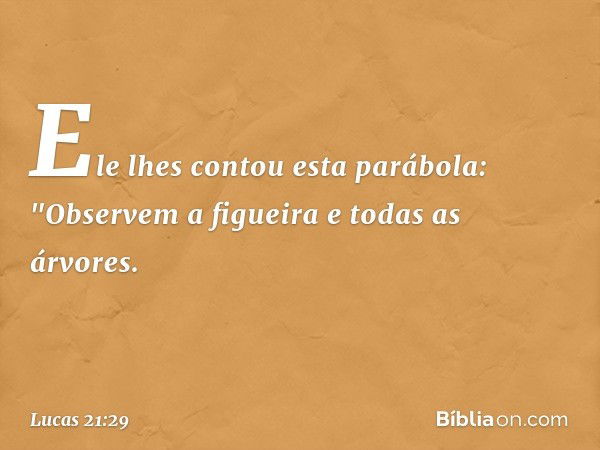 Ele lhes contou esta parábola: "Observem a figueira e todas as árvores. -- Lucas 21:29