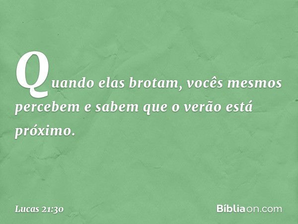 Quando elas brotam, vocês mesmos percebem e sabem que o verão está próximo. -- Lucas 21:30