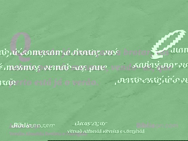 Quando já começam a brotar, vós sabeis por vós mesmos, vendo-as, que perto está já o verão.