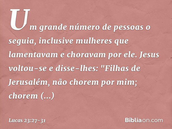 Um grande número de pessoas o seguia, inclusive mulheres que lamentavam e choravam por ele. Jesus voltou-se e disse-lhes: "Filhas de Jerusalém, não chorem por m