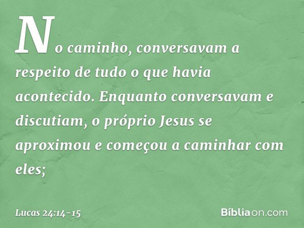 No caminho, conversavam a respeito de tudo o que havia acontecido. Enquanto conversavam e discutiam, o próprio Jesus se aproximou e começou a caminhar com eles;