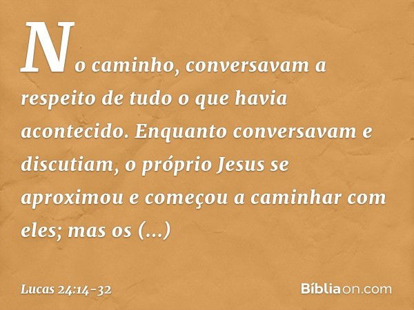 No caminho, conversavam a respeito de tudo o que havia acontecido. Enquanto conversavam e discutiam, o próprio Jesus se aproximou e começou a caminhar com eles;