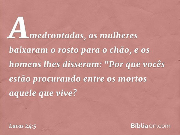 Amedrontadas, as mulheres baixaram o rosto para o chão, e os homens lhes disseram: "Por que vocês estão procurando entre os mortos aquele que vive? -- Lucas 24: