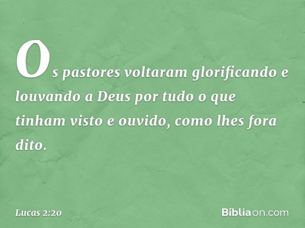 Os pastores voltaram glorificando e louvando a Deus por tudo o que tinham visto e ouvido, como lhes fora dito. -- Lucas 2:20