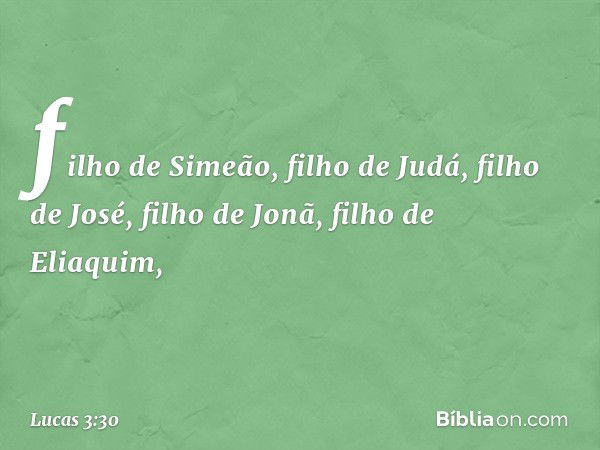 filho de Simeão,
filho de Judá, filho de José,
filho de Jonã,
filho de Eliaquim, -- Lucas 3:30