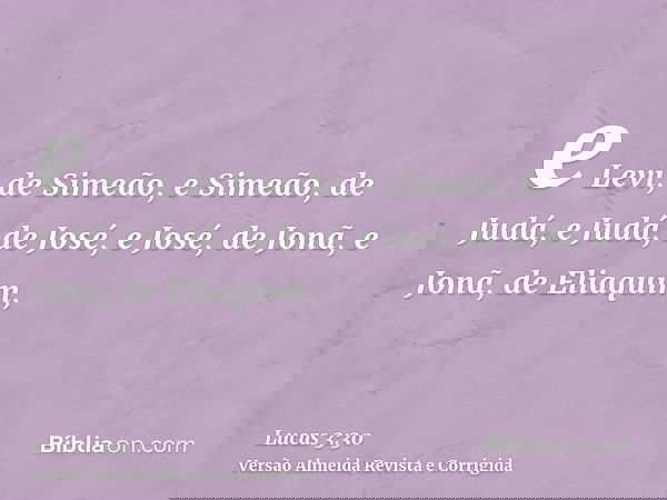 e Levi, de Simeão, e Simeão, de Judá, e Judá, de José, e José, de Jonã, e Jonã, de Eliaquim,