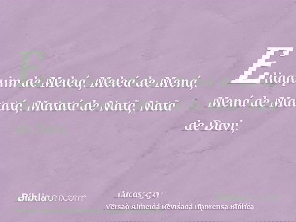 Eliaquim de Meleá, Meleá de Mená, Mená de Matatá, Matatá de Natã, Natã de Davi,