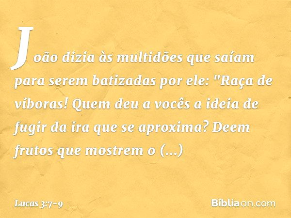 João dizia às multidões que saíam para serem batizadas por ele: "Raça de víboras! Quem deu a vocês a ideia de fugir da ira que se aproxima? Deem frutos que most