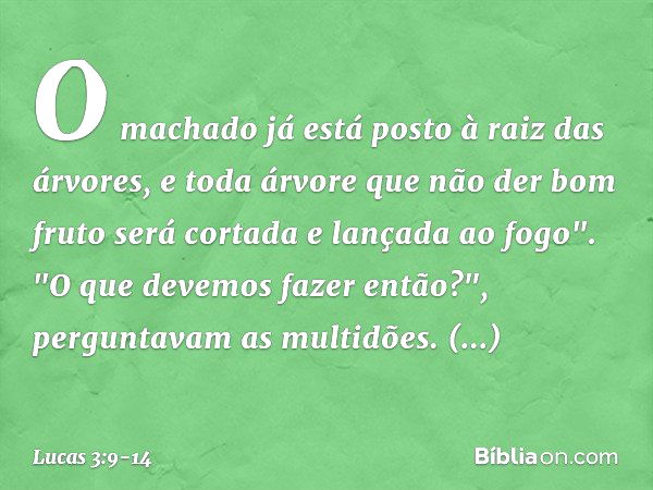 O machado já está posto à raiz das árvores, e toda árvore que não der bom fruto será cortada e lançada ao fogo". "O que devemos fazer então?", perguntavam as mu