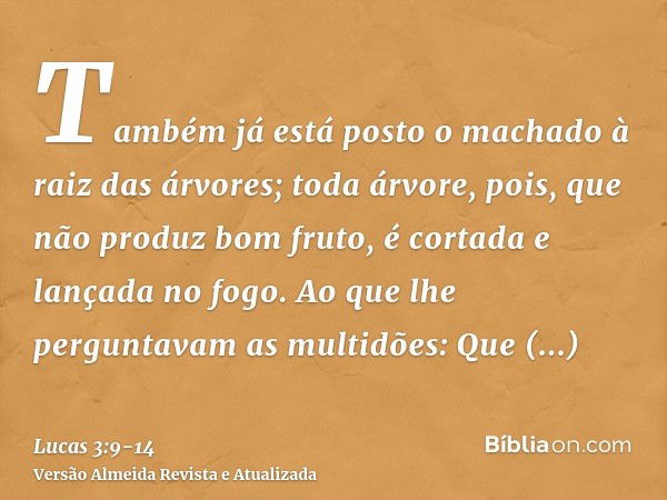 Também já está posto o machado à raiz das árvores; toda árvore, pois, que não produz bom fruto, é cortada e lançada no fogo.Ao que lhe perguntavam as multidões: