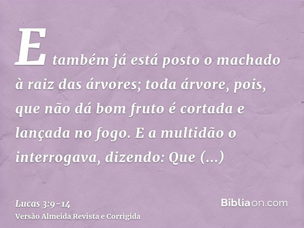 E também já está posto o machado à raiz das árvores; toda árvore, pois, que não dá bom fruto é cortada e lançada no fogo.E a multidão o interrogava, dizendo: Qu