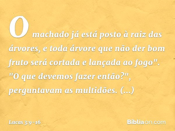 O machado já está posto à raiz das árvores, e toda árvore que não der bom fruto será cortada e lançada ao fogo". "O que devemos fazer então?", perguntavam as mu