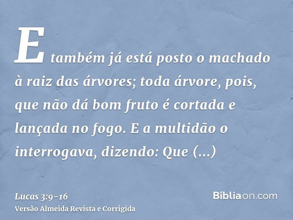 E também já está posto o machado à raiz das árvores; toda árvore, pois, que não dá bom fruto é cortada e lançada no fogo.E a multidão o interrogava, dizendo: Qu