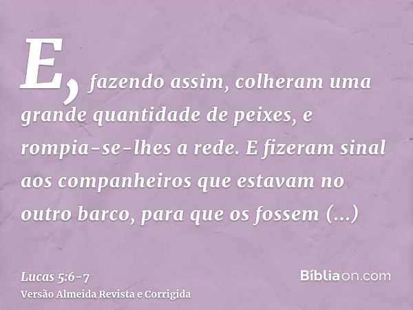 E, fazendo assim, colheram uma grande quantidade de peixes, e rompia-se-lhes a rede.E fizeram sinal aos companheiros que estavam no outro barco, para que os fos