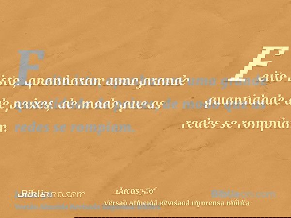 Feito isto, apanharam uma grande quantidade de peixes, de modo que as redes se rompiam.