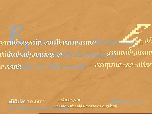 E, fazendo assim, colheram uma grande quantidade de peixes, e rompia-se-lhes a rede.