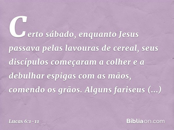 Certo sábado, enquanto Jesus passava pelas lavouras de cereal, seus discípulos começaram a colher e a debulhar espigas com as mãos, comendo os grãos. Alguns far