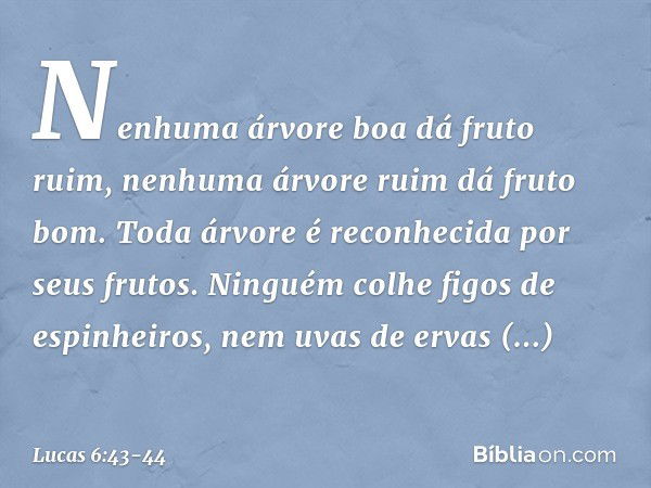 "Nenhuma árvore boa dá fruto ruim, nenhuma árvore ruim dá fruto bom. Toda árvore é reconhecida por seus frutos. Ninguém colhe figos de espinheiros, nem uvas de 