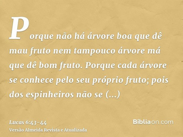 Porque não há árvore boa que dê mau fruto nem tampouco árvore má que dê bom fruto.Porque cada árvore se conhece pelo seu próprio fruto; pois dos espinheiros não