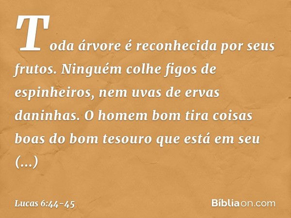 Toda árvore é reconhecida por seus frutos. Ninguém colhe figos de espinheiros, nem uvas de ervas daninhas. O homem bom tira coisas boas do bom tesouro que está 