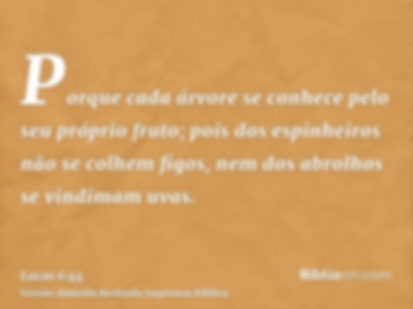 Porque cada árvore se conhece pelo seu próprio fruto; pois dos espinheiros não se colhem figos, nem dos abrolhos se vindimam uvas.