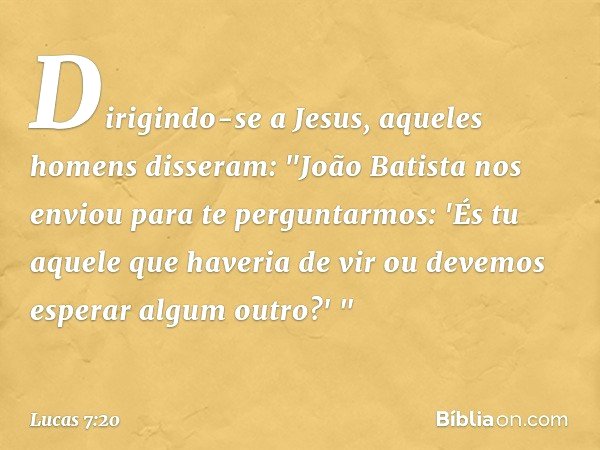 Dirigindo-se a Jesus, aqueles homens disseram: "João Batista nos enviou para te perguntarmos: 'És tu aquele que haveria de vir ou devemos esperar algum outro?' 