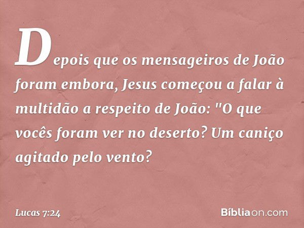 Depois que os mensageiros de João foram embora, Jesus começou a falar à multidão a respeito de João: "O que vocês foram ver no deserto? Um caniço agitado pelo v