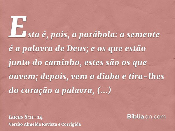 Esta é, pois, a parábola: a semente é a palavra de Deus;e os que estão junto do caminho, estes são os que ouvem; depois, vem o diabo e tira-lhes do coração a pa