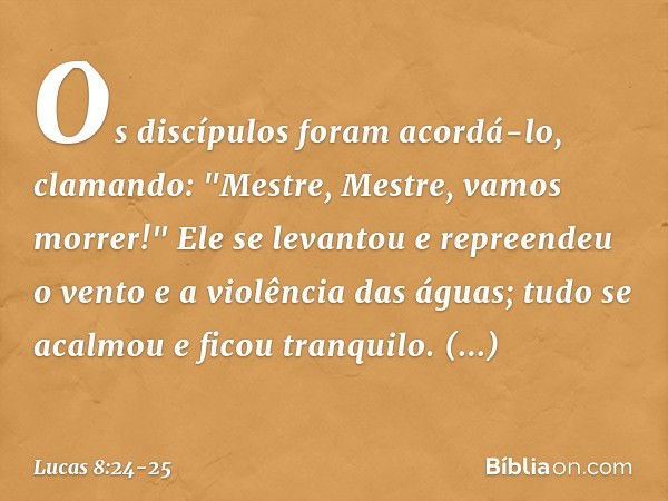 Os discípulos foram acordá-lo, clamando: "Mestre, Mestre, vamos morrer!" Ele se levantou e repreendeu o vento e a violência das águas; tudo se acalmou e ficou t