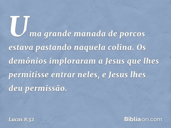 Uma grande manada de porcos estava pastando naquela colina. Os demônios imploraram a Jesus que lhes permitisse entrar neles, e Jesus lhes deu permissão. -- Luca