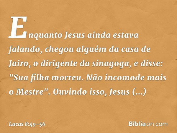 Enquanto Jesus ainda estava falando, chegou alguém da casa de Jairo, o dirigente da sinagoga, e disse: "Sua filha morreu. Não incomode mais o Mestre". Ouvindo i