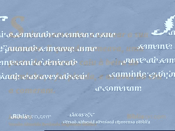 Saiu o semeador a semear a sua semente. E quando semeava, uma parte da semente caiu à beira do caminho; e foi pisada, e as aves do céu a comeram.