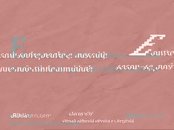 E outra caiu sobre pedra e, nascida, secou-se, pois que não tinha umidade.