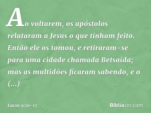 Ao voltarem, os apóstolos relataram a Jesus o que tinham feito. Então ele os tomou, e retiraram-se para uma cidade chamada Betsaida; mas as multidões ficaram sa