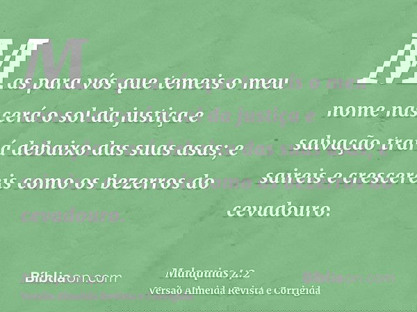 Mas para vós que temeis o meu nome nascerá o sol da justiça e salvação trará debaixo das suas asas; e saireis e crescereis como os bezerros do cevadouro.