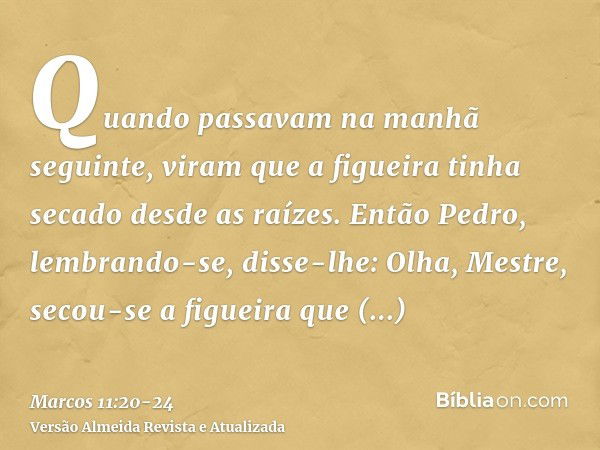 Quando passavam na manhã seguinte, viram que a figueira tinha secado desde as raízes.Então Pedro, lembrando-se, disse-lhe: Olha, Mestre, secou-se a figueira que