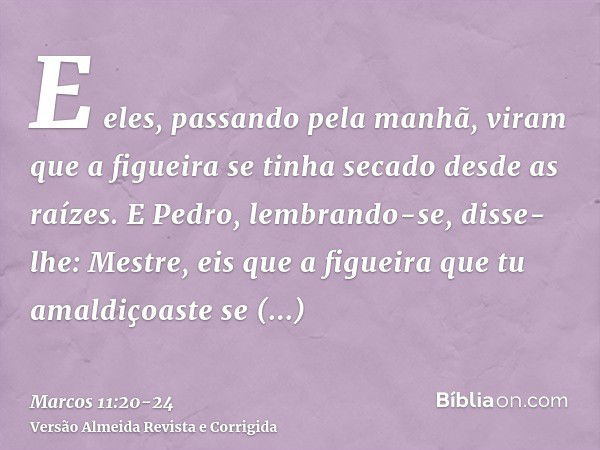 E eles, passando pela manhã, viram que a figueira se tinha secado desde as raízes.E Pedro, lembrando-se, disse-lhe: Mestre, eis que a figueira que tu amaldiçoas