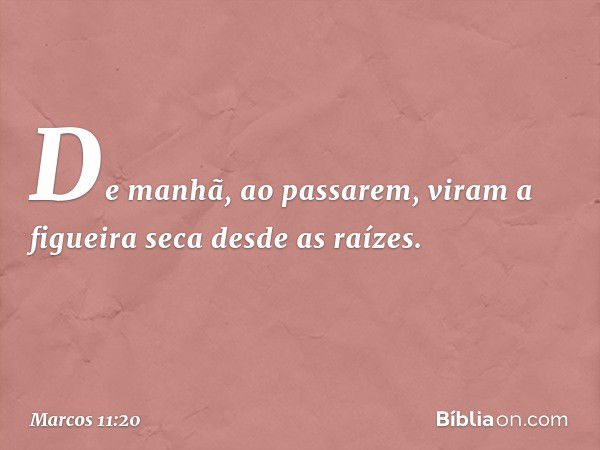 De manhã, ao passarem, viram a figueira seca desde as raízes. -- Marcos 11:20