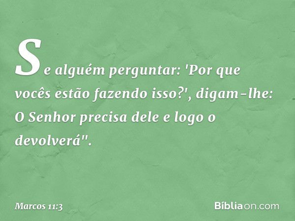 Se alguém perguntar: 'Por que vocês estão fazendo isso?', digam-lhe: O Senhor precisa dele e logo o devolverá". -- Marcos 11:3