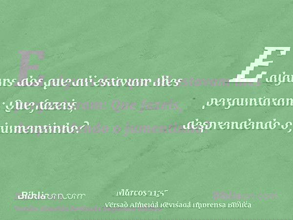 E alguns dos que ali estavam lhes perguntaram: Que fazeis, desprendendo o jumentinho?