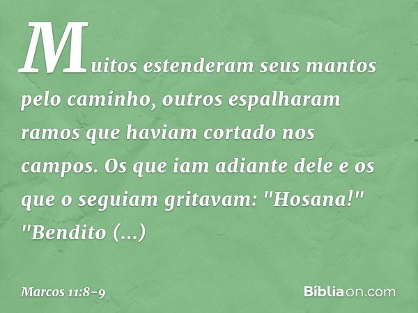 Muitos estenderam seus mantos pelo caminho, outros espalharam ramos que haviam cortado nos campos. Os que iam adiante dele e os que o seguiam gritavam:
"Hosana!