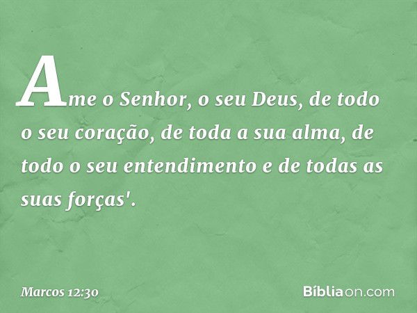 Ame o Senhor, o seu Deus, de todo o seu coração, de toda a sua alma, de todo o seu entendimento e de todas as suas forças'. -- Marcos 12:30