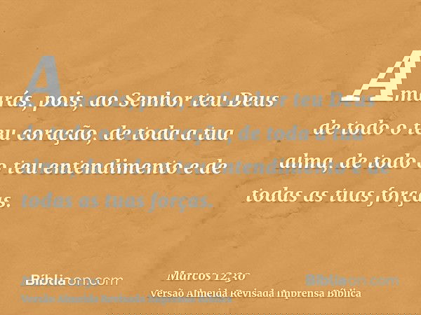 Amarás, pois, ao Senhor teu Deus de todo o teu coração, de toda a tua alma, de todo o teu entendimento e de todas as tuas forças.