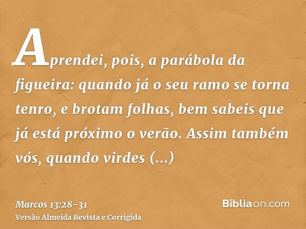 Aprendei, pois, a parábola da figueira: quando já o seu ramo se torna tenro, e brotam folhas, bem sabeis que já está próximo o verão.Assim também vós, quando vi