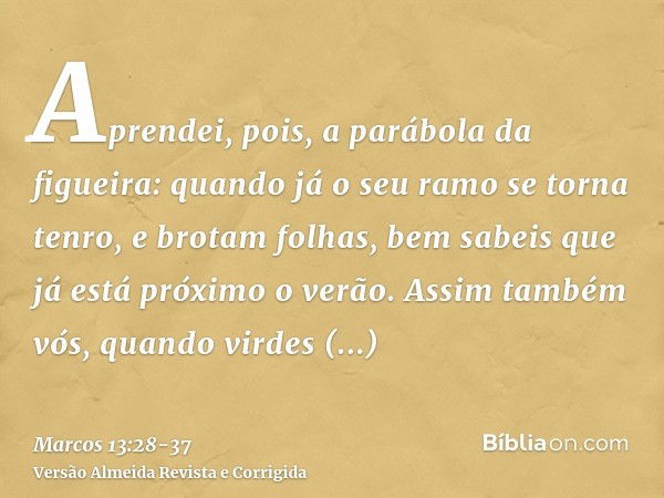 Aprendei, pois, a parábola da figueira: quando já o seu ramo se torna tenro, e brotam folhas, bem sabeis que já está próximo o verão.Assim também vós, quando vi