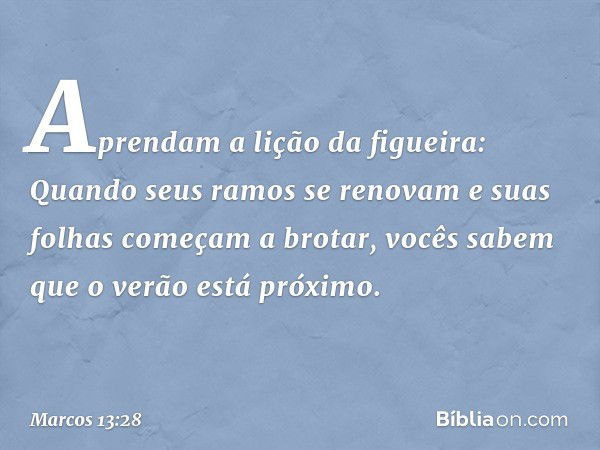 "Aprendam a lição da figueira: Quando seus ramos se renovam e suas folhas começam a brotar, vocês sabem que o verão está próximo. -- Marcos 13:28