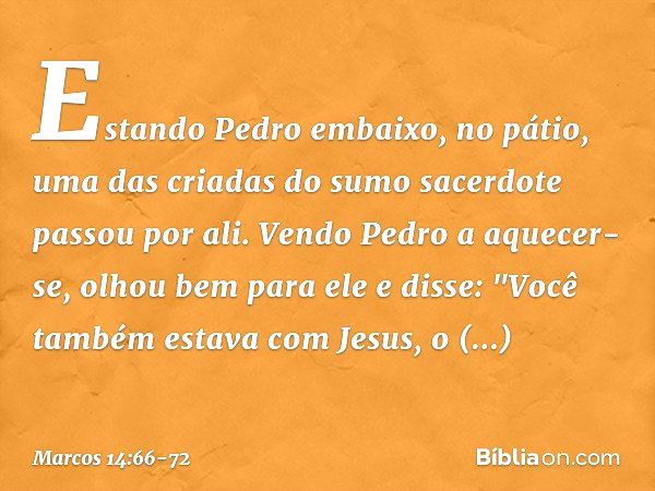 Estando Pedro embaixo, no pátio, uma das criadas do sumo sacerdote passou por ali. Vendo Pedro a aquecer-se, olhou bem para ele e disse:
"Você também estava com